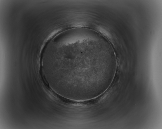 X0000087010298200704161546