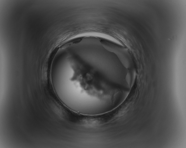 X0000087010299200704161546