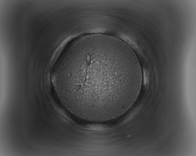 X0000087010300200704161546