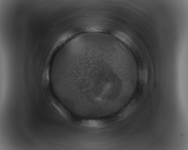 X0000087010302200704161546