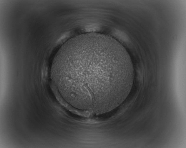 X0000087010308200704161546