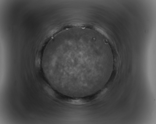 X0000087010309200704161546