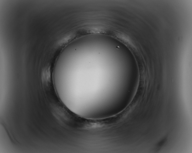 X0000087010310200704161546