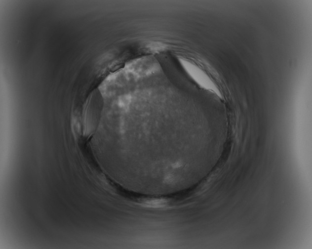 X0000087010313200704161546