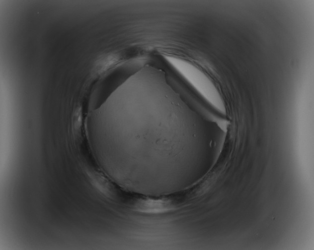 X0000087010314200704161546