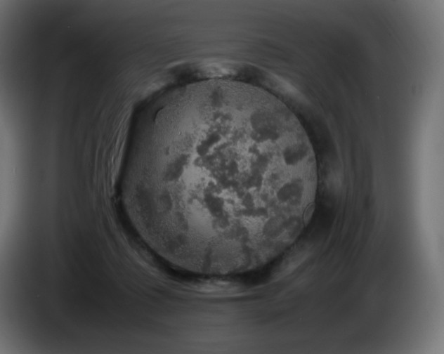 X0000087010315200704161546