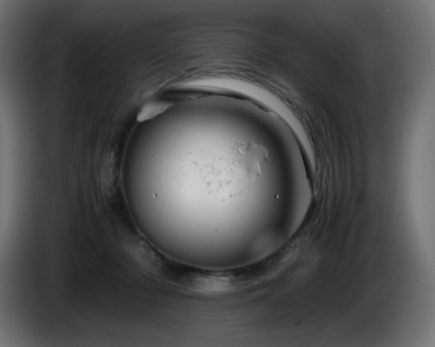 X0000087010318200704161546