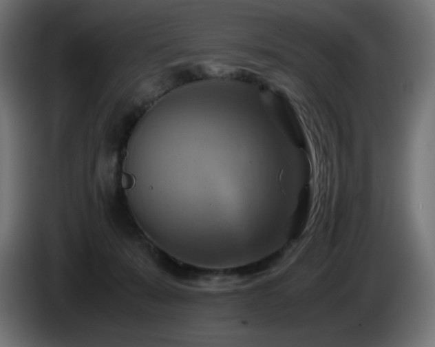 X0000087010319200704161546