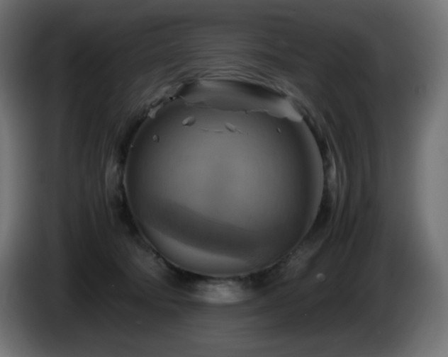 X0000087010322200704161546