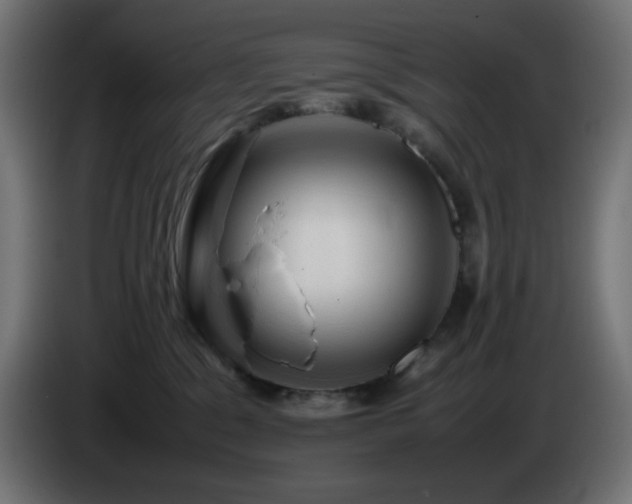 X0000087010329200704161546