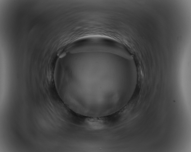 X0000087010331200704161546
