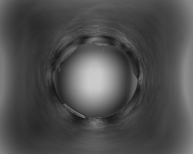 X0000087010333200704161546