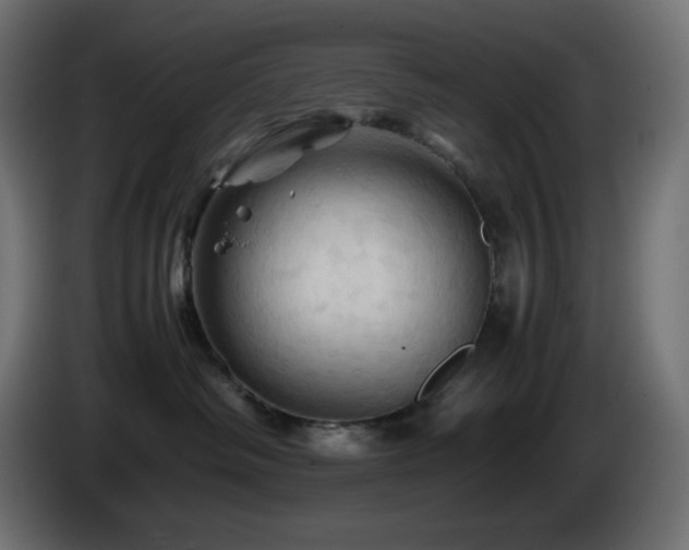 X0000087010334200704161546