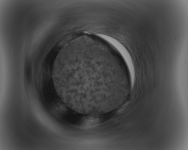 X0000087010335200704161546