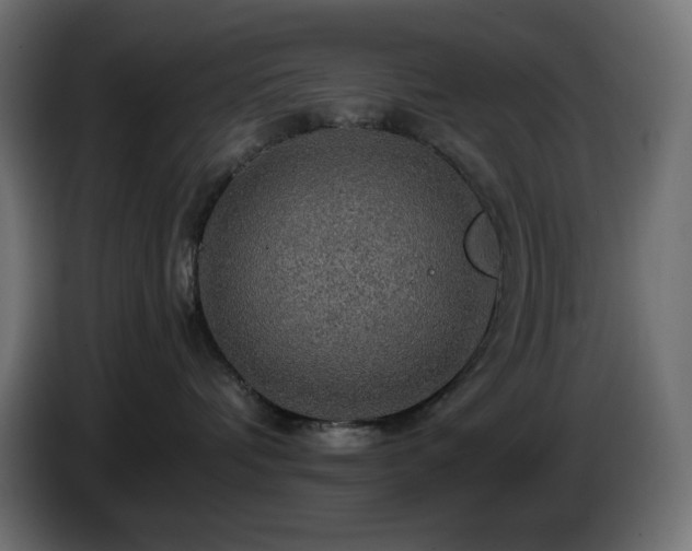 X0000087010336200704161546