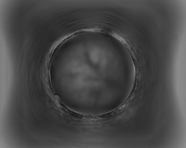 X0000087010337200704161546