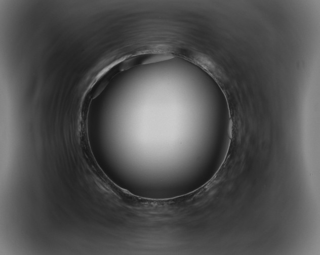 X0000087010338200704161546