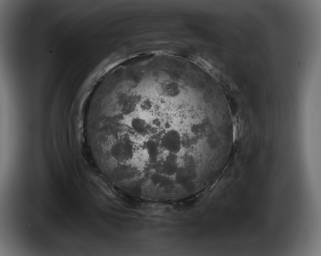 X0000087010339200704161546