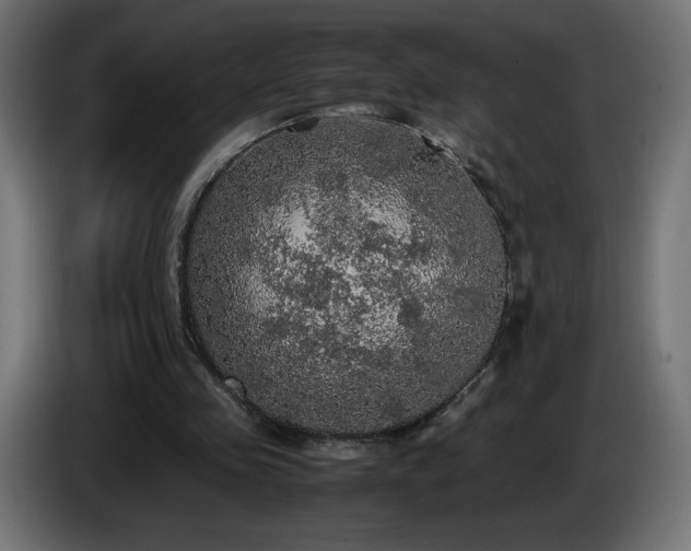 X0000087010341200704161546
