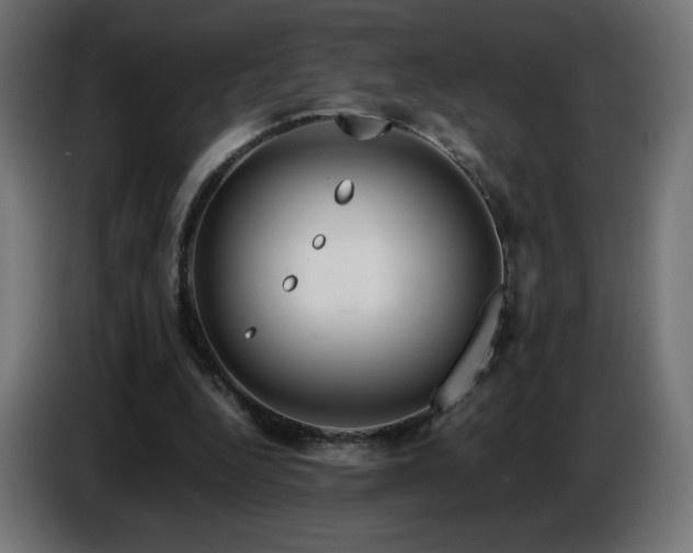 X0000087010344200704161546