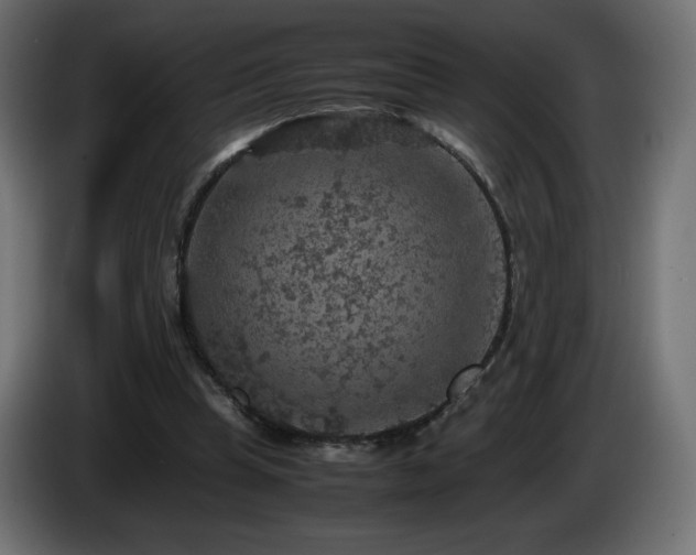 X0000087010345200704161546