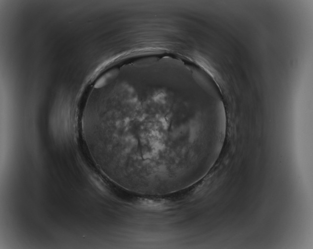 X0000087010346200704161546