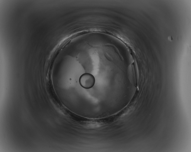 X0000087010347200704161546