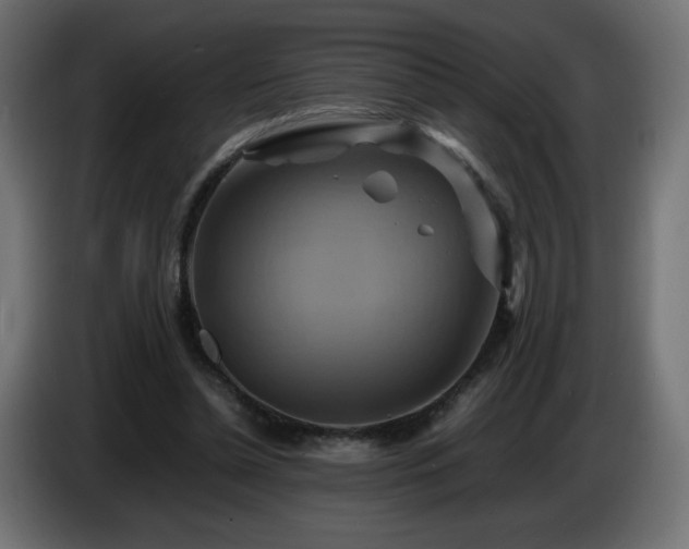X0000087010348200704161546