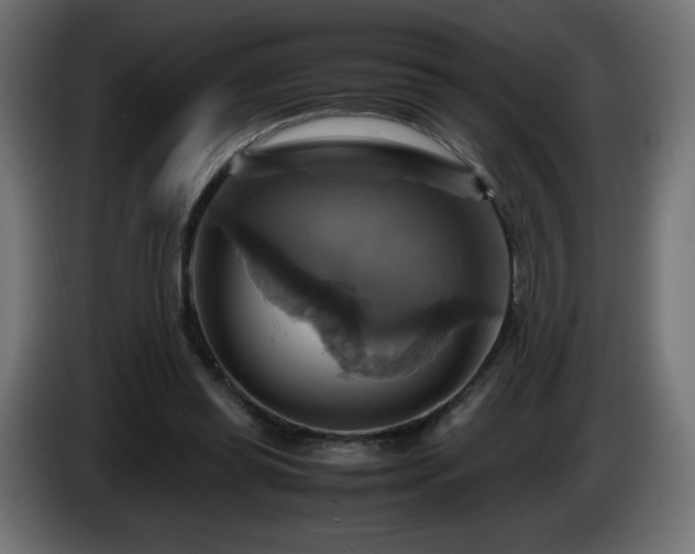 X0000087010349200704161546