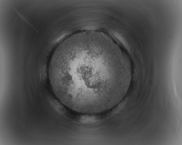 X0000087010354200704161546