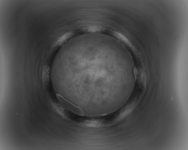 X0000087010356200704161546