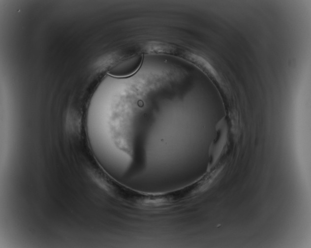 X0000087010357200704161546