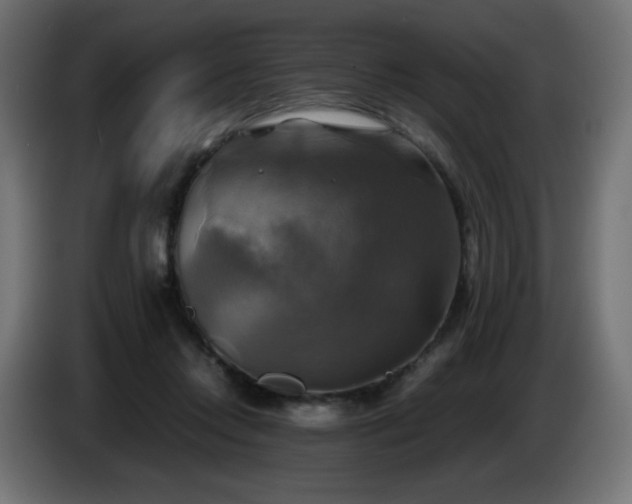 X0000087010358200704161546