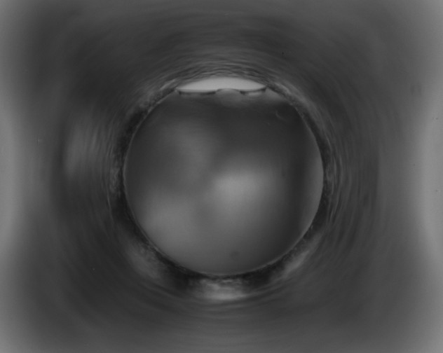 X0000087010359200704161546