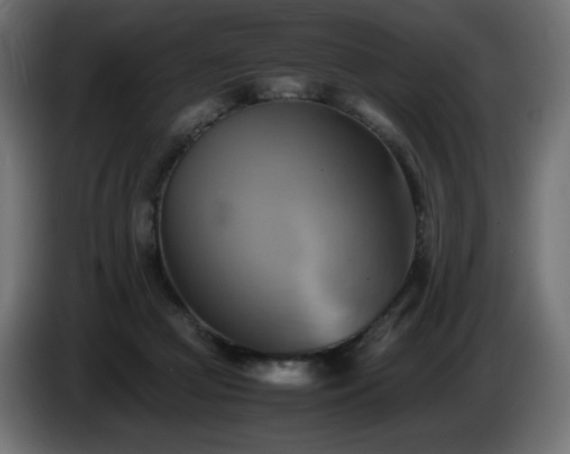 X0000087010361200704161546