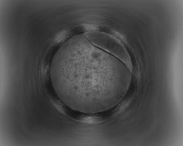 X0000087010364200704161546