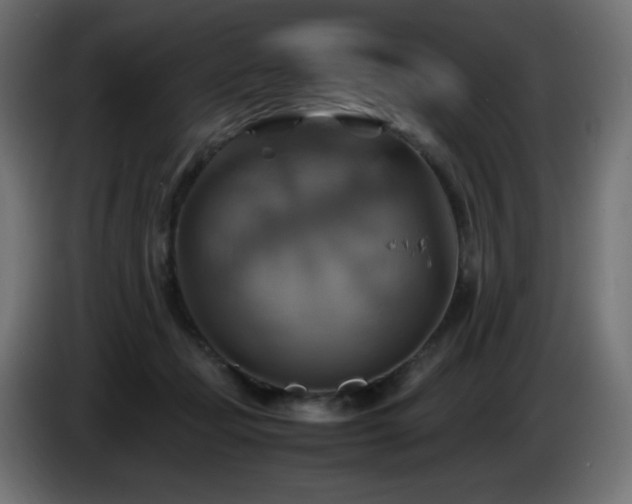 X0000087010365200704161546