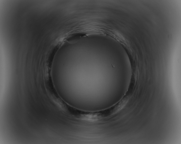 X0000087010366200704161546