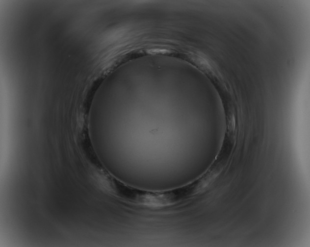 X0000087010367200704161546