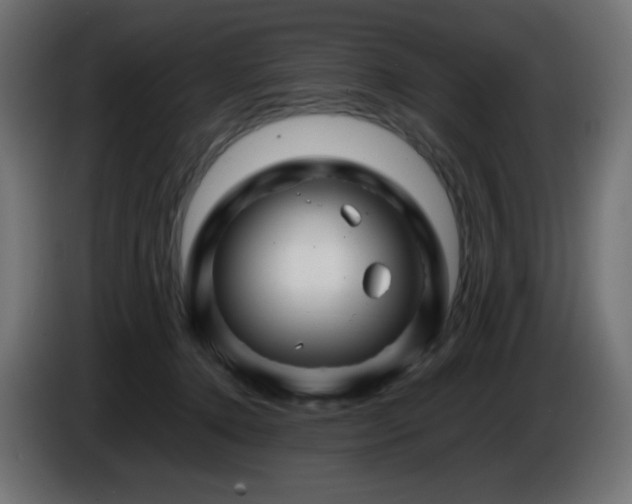 X0000087010368200704161546