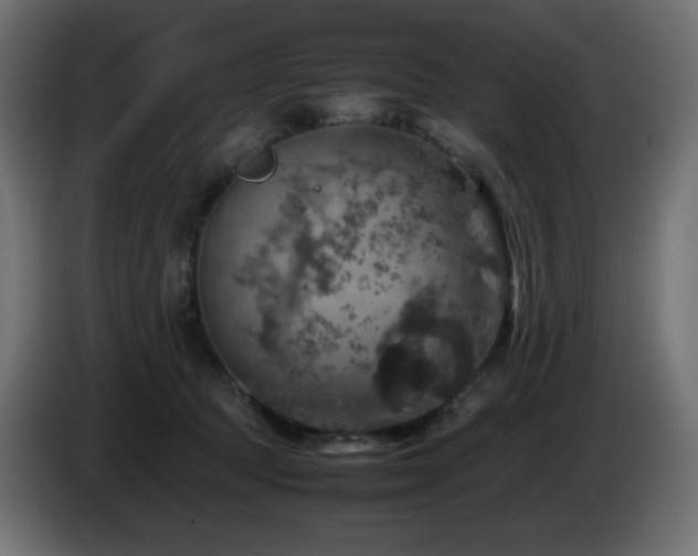 X0000087010369200704161546