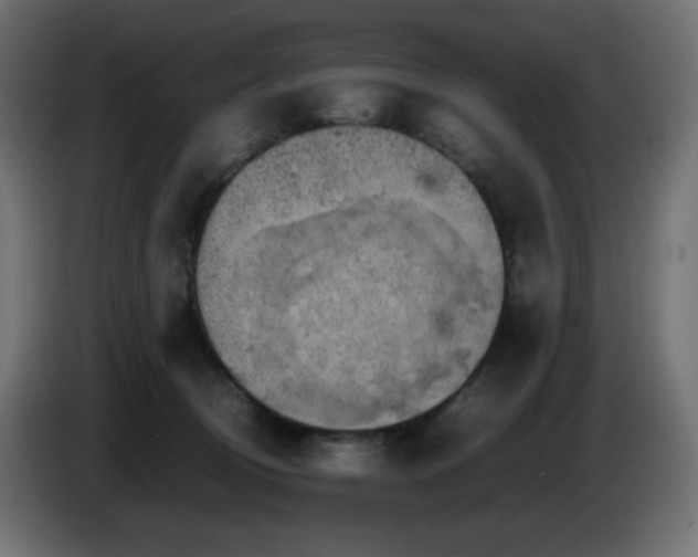 X0000087010370200704161546