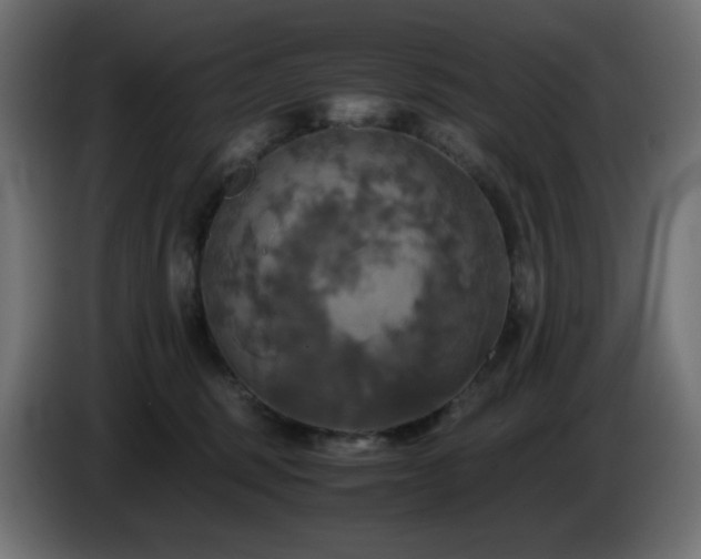 X0000087010375200704161546