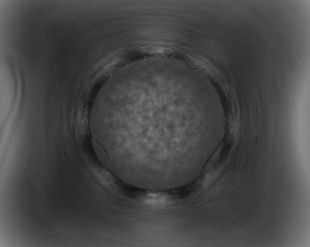 X0000087010376200704161546