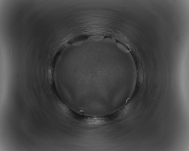 X0000087010378200704161546