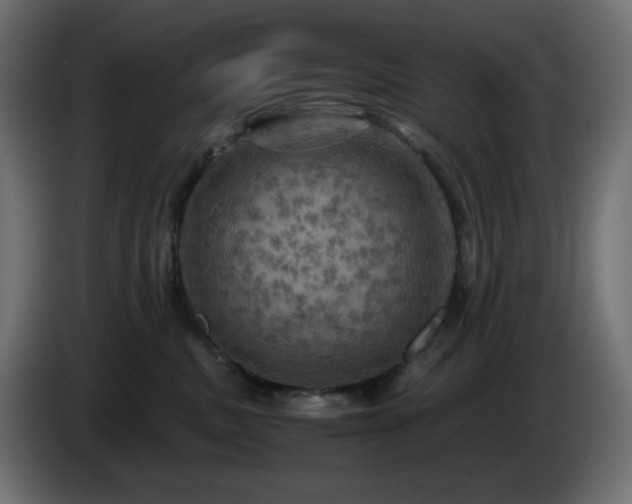 X0000087010379200704161546