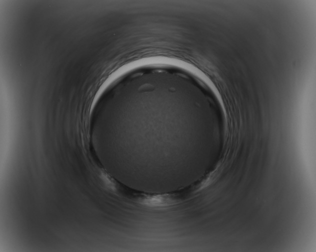 X0000087010382200704161546