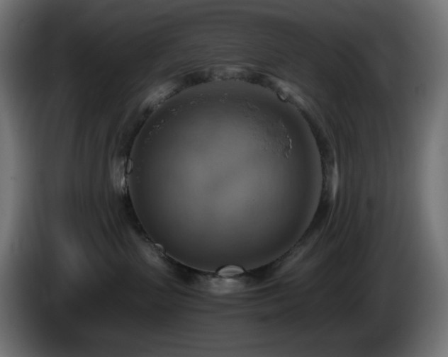X0000087010383200704161546