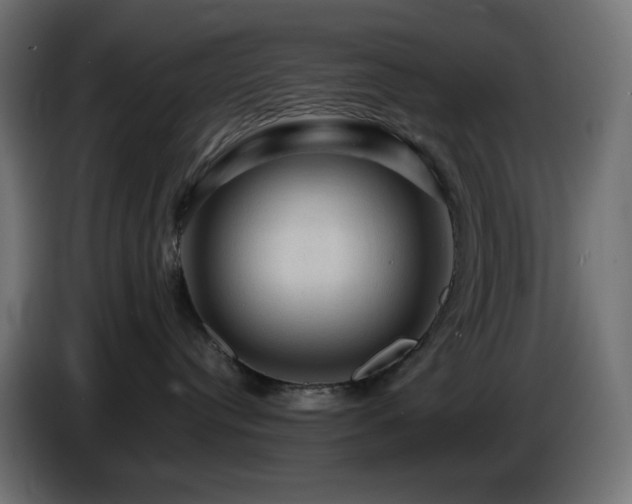 X0000087010384200704161546