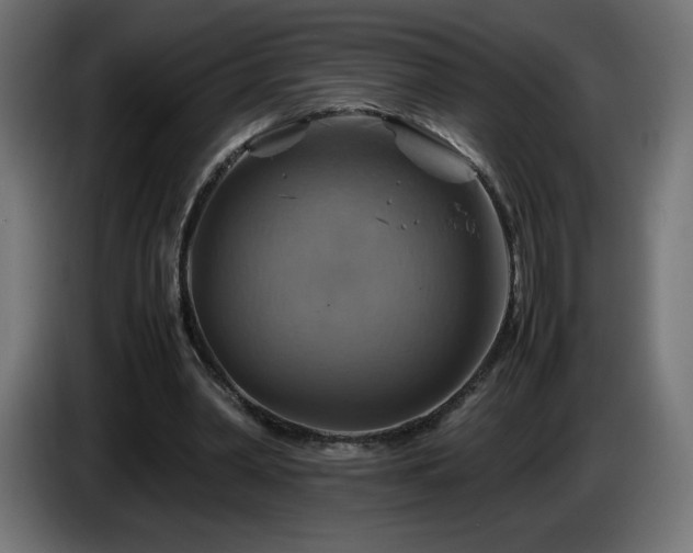 X0000087010390200704161545